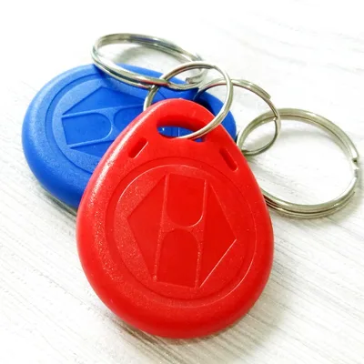 Fast Delivery in Stock 125khz T5577/13.56mhz Rewritable Uid Variable Read Write Rfid Keychain