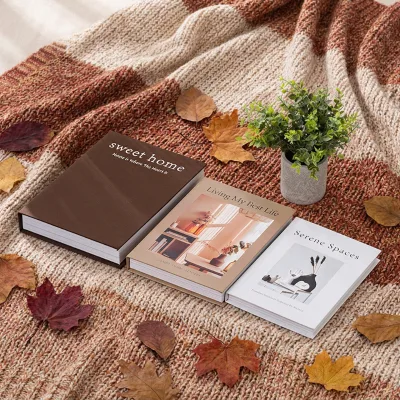 Minimal Vibe Decorative Fake Book Box Hollow Storage Book for High End B&B Interior Decor