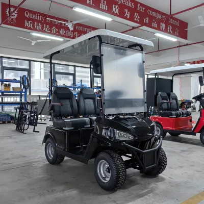 Single Seat Electric Utility Golf Cart with Cargo Bed Personal Mobility Vehicle for Patrol Resorts and Communities Maintenance