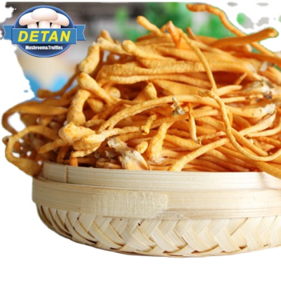 Cordyceps Militaris for Buyers for Mushrooms