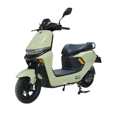 1000W 72V20Ah Lead-Acid E-Bike Lightweight Adult Dual Disc Brakes Long Range Footrest >50km/h 10 Inch Tires Rear Hub Motor