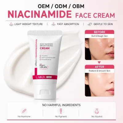 LAIKOU OEM ODM OBM Factory Direct Wholesale Custom Logo PRO Nicotinamide Cream 30g Moisturizing Hydrating Brightening Nourishing