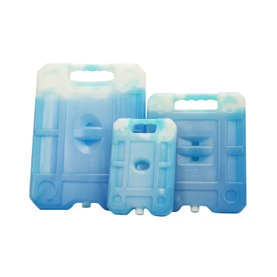 OEM Cooling Ice Bricks Cold Chain Food Transport Outdoor Cooler Box Keeping Fresh