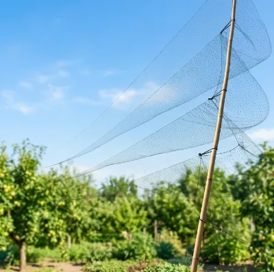 Factory Agricultural Wholesale Nylon Durable Anti-UV Customizable Dimensions Bird Catching Net Trap Cutting Black Farm Airport