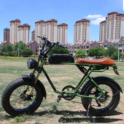 Super Power 73s Electric Bike 48V 500W Motor Power Lithium Battery 13AH Super Power Electric Bicycle for Adult