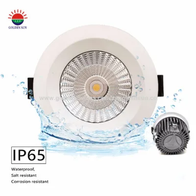 IP65 LED Downlight, Waterproof 12W LED Ceiling Light, Die Casting Aluminum AC85-265V LED Down light