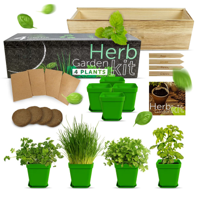 4 Herb Seedling Growing Indoor Herb Garden Starter Kit DIY Kits Home Starter Grow Plant Kit for Adults