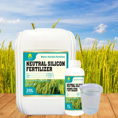 Eco-Friendly Silicon Fertilizer Solution | Low Salt Index, pH Balanced for Sensitive Crops | 100% Water Soluble