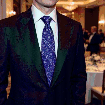 Men Classic Floral Paisley Patterns Woven Striped 100% Silk Jacquard Necktie for Suits