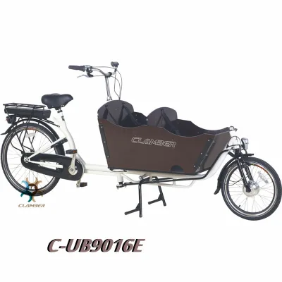Motorcycle Electric Bike Two Seat 3 Wheel Carry Goods and People /clamber 9016E