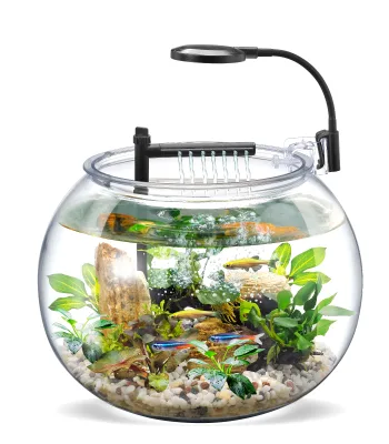 Wholesale Desktop USB 4L 12L Transparent Clear Round Small Cheap Plastic Fish Tank With Filter