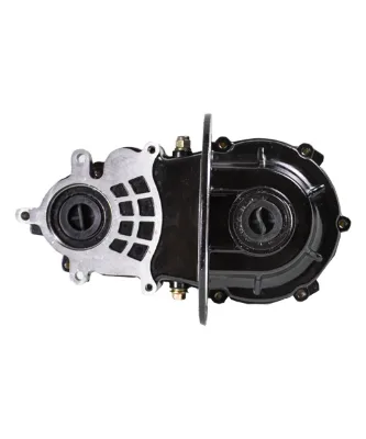 Factory Directly Sale Tricycle Electric Vehicle Three Wheeler  Gear Box  Dc Motor Gearbox