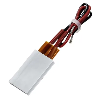 Infrared Ceramic Lamp Heat Lamp Cheap DC 12v Chicken Heater for Reptile Pet Animals  Ptc Heater 12v Dc