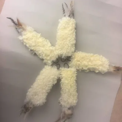 Wool Kicker Cat Toy Real Fur & Feather Enrichment Pet Toy Replacement Head for Cat Kicker Play