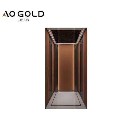 Interior Lift gearless Elevator for Home Elevator 3 Floor Interior Elevator