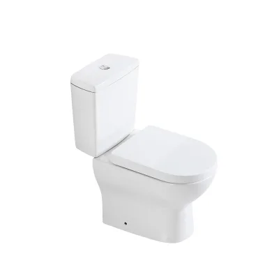 European and American Style Ceramic Split Toilet Factory Wholesale for Villa and Bathroom Applications Small Export Model