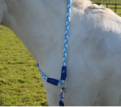 Handmade 550 Paracord Horse Harness Set-Customized Colors & Sizes High Quality Training Equipment