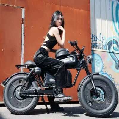 Warrior Electric Road Sport Bike Top Speed 75km/h 1500W 30Ah 60Ah Adult Off-Road 75km/h Motorcycle Dirt E-Bike Aluminum Alloy