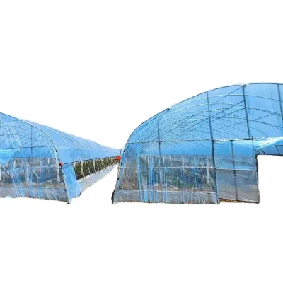 Eva Greenhouse Film 200 Mic China Factory High Transparency UV Resistant Agricultural PO Film