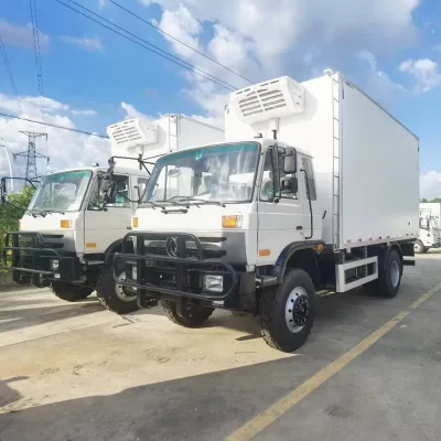Euro6 Emission Manual New Diesel Refrigerator Truck for Vegetable& Medicine Transport for Sale