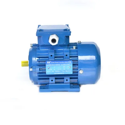 IE1/Y2 Series Small Three Phase 1/4 hp Ac Induction Motor 1500rpm Electric Motor
