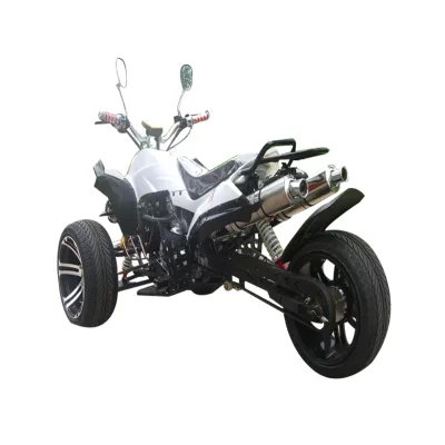 A Great Performer 250cc Trike Bike for Adult