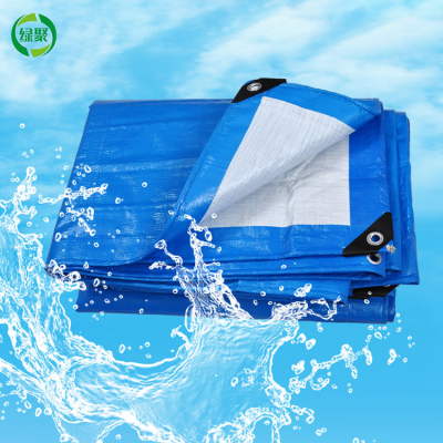 12x20 Ft 6x4 m Waterproof Blue and White Pe Tarpaulin Poly Tarps