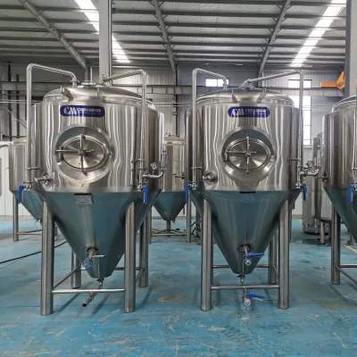 1000L-15000L Conical Fermenter Equipment for Beer Fermentation 50000L Capacity Pump PLC Core Components Manufacturing Plant