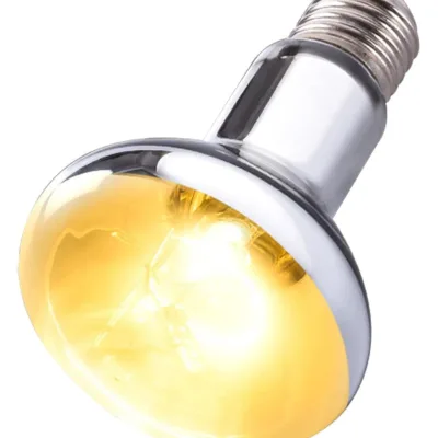 Reptile UVA Heat-retaining Lamp for Pets, Day Light and Night Light, Infrared Heating Lamp