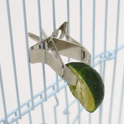 Stainless Steel Parrot Bird Feeder Fruit Clip Hanging Bird Feeder Bird Supplies