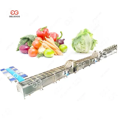 Automatic Vegetable and Fruit Salad Washing Packaging Line with Engine Pump 304 Stainless Steel High Efficiency Commercial Use