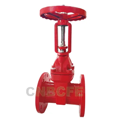 CNBCFE Fire Protection OS&Y Gate Valve Flange End PN16 Cast Iron Fire Gate Valve for Fire Fighting System