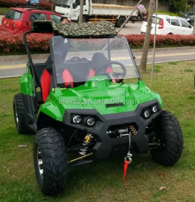 48v 4x4 Electric Utv Buggy Utv Differential Utv Go Cart