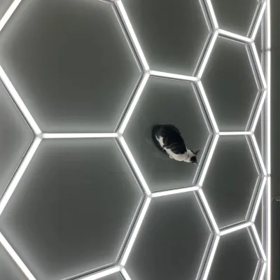 Factory Hot Sell High Performance Led Hexagon Led Ceiling Detailing Light