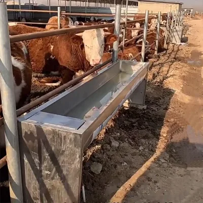 Hot Sale Electric Heating for Sheep Goat Feeder Feeding Trays Trough