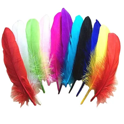 High Quality Cheap Colorful Goose Feather for Decorative