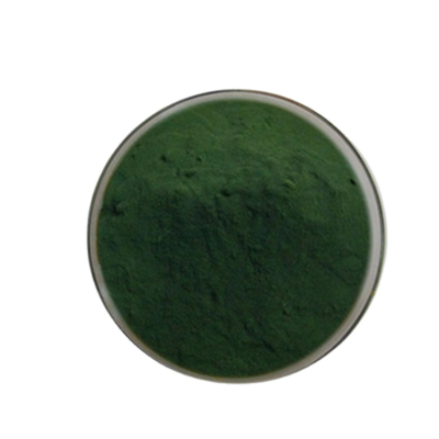 Factory Supply Water Soluble Chlorella  powder   Chlorella