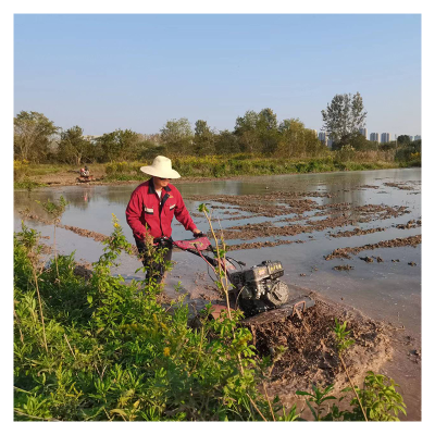 Hot Sale 4WD Paddy Field Tilling Light 170F Cultivator