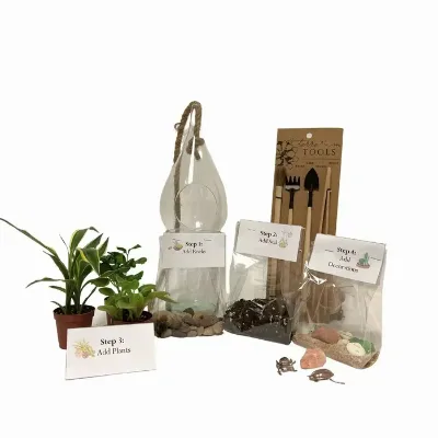 Build Your Own Small Terrarium Kit That a Ten Inch High Hanging Teardrop Shaped Glass Container Kits