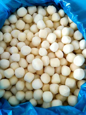 High Quality Frozen Taro Chunks Non-GMO No Additives HACCP Certified Factory Supply
