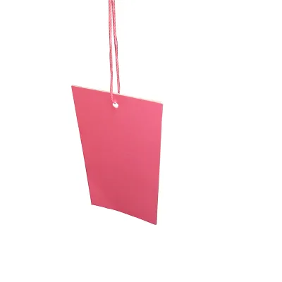 Custom Color Printing Fashion Garment Clothing Jeans Hang Tag