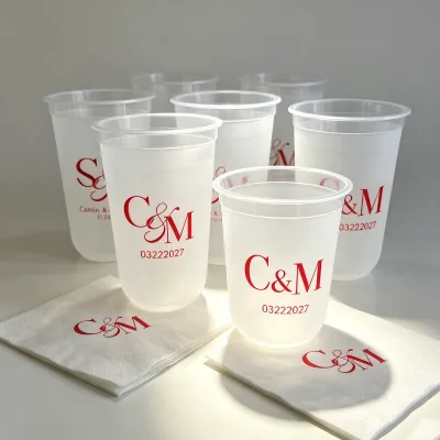 9 16 oz Transparent Pet Drinks Cans with Lid, Plastic Pet Cans, Custom Logo Bottle for Wine Beer Wedding bar Frosted Wedding Cup