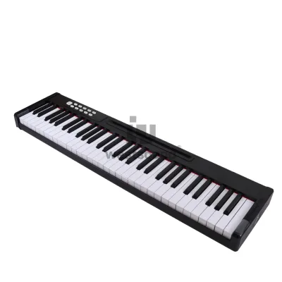 Portable 61-Key Weighted Keyboard Electronic Organ  MIDI Dual Speakers Universal Multi-Function Professional Electronic