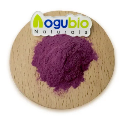 Private Label OEM Elderberry Extract Powder and Capsules for Health
