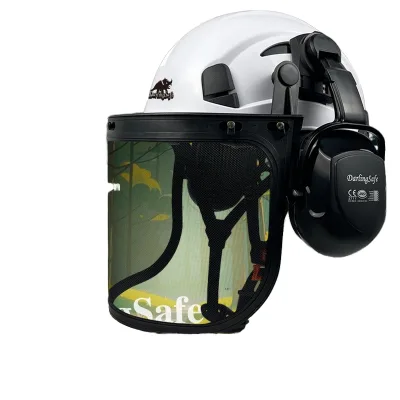 DARLINGSAFE Bicycle Cycling Safety Helmet ABS Light Mesh Screen Anti-sawdust Model CR08 V Type 6 Suspension Points