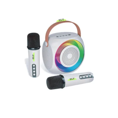 Outdoor Play and Charging Portable  Wireless Mini Karaoke  for Festival Purchasing