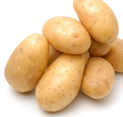 Bulk Potato Fresh Potato Supplier Fries Wedges and Mashed Potato