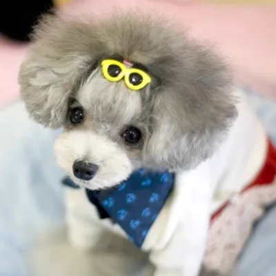 Pet Glasses Hair Clip Korean Style Decor Pet Heart-Shaped Glasses Hair Clip Cool Look