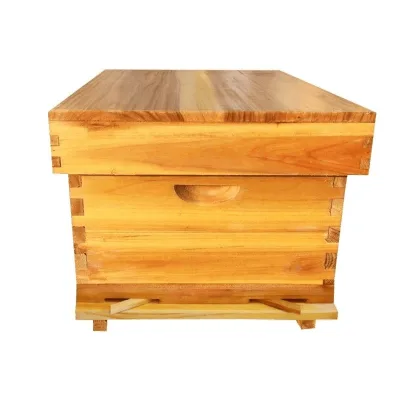 Eco-friendly Wax Coated Wooden Langstroth Bee Hive Frames Kit with Custom Logo-Beekeeping Equipment