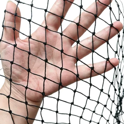 UV Stabilized HDPE Knotted Knotless Anti Bird Net for Orchard Fruit Tree Crop Protection